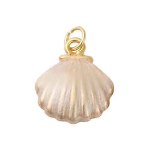WHITE SEASHELL