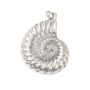SILVER SHELL